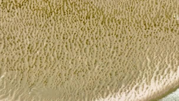 オランダのヒート ツイン自然保護区 キャドザント近く 風景のテクスチャとパターンのトップダウンドローンの空中ビュー — ストック動画