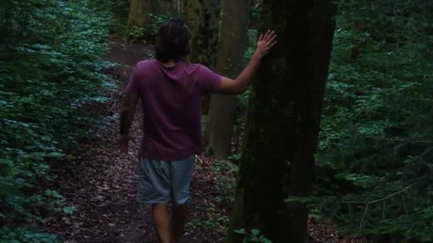 赤いTシャツを着た若い男と長い茶色の髪緑に覆われた森の中の小さな道を裸足で歩いて いくつかの木に触れます — ストック動画
