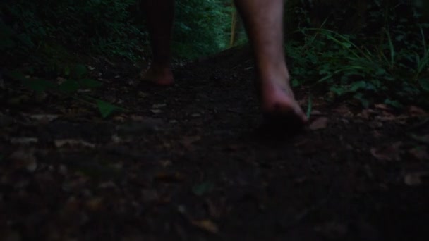 Karanlık Bir Ormanda Yavaş Çekimde Çıplak Ayakla Yürüyen Insanların Yakınlaşması — Stok video