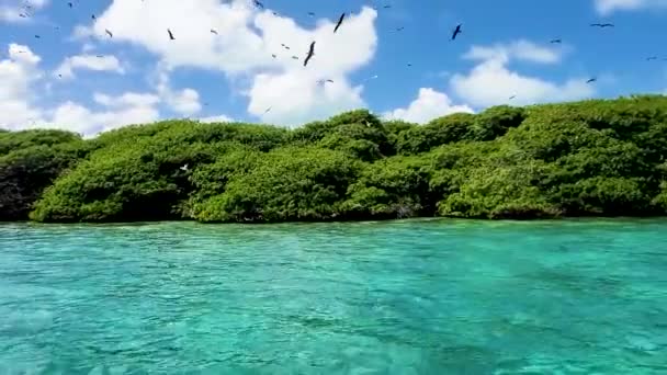 Σκάφος Κινείται Πάνω Από Μπλε Ρηχά Νερά Mangrove Αντανάκλαση Για — Αρχείο Βίντεο