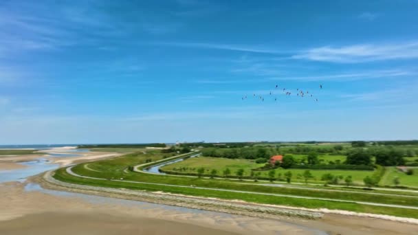 Hollanda Daki Het Zwin Doğa Koruma Alanı Üzerinde Uçan Kuş — Stok video