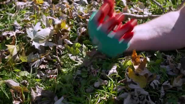 Blutige Hand Mit Textiltuch Fällt Auf Rasen Mit Herbstblättern Krimikonzept — Stockvideo