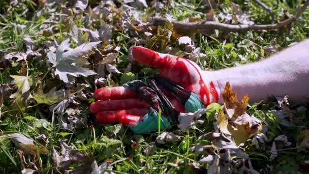 攻击的概念 孤立的血手落在草地上 阳光灿烂的日子 — 图库视频影像