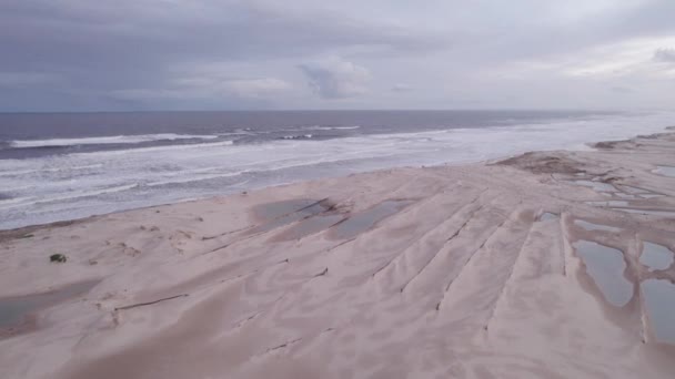 오스트레일리아 사우드 웨일즈 스탁턴 해변을 비행기로 횡단하는 — 비디오