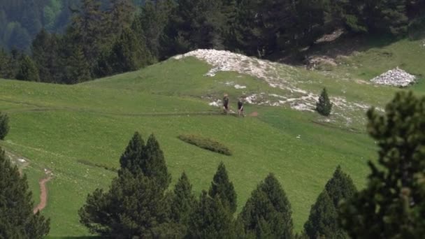 Twee Wandelaars Toeristen Een Pad Vercors National Park Frankrijk Luchtfoto — Stockvideo