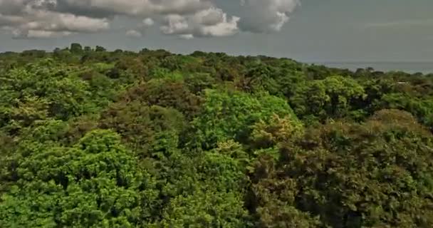 Bocas Del Toro Panama Aerial V12电影低空无人驾驶飞机飞越热带雨林的树冠 朝向沙质的悬崖海滩拍摄奇异的岛屿景观 与Mavic Cine一起拍摄 2022年4月 — 图库视频影像