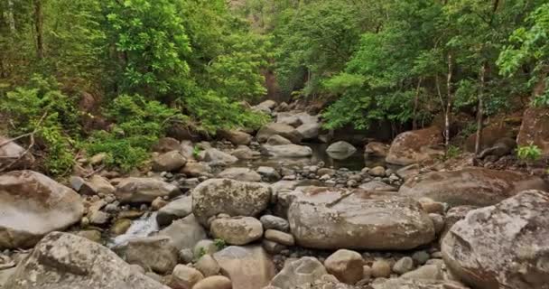 Caldera Panama Aerial Flyover Creek Jaguatta Waterfall Surrounded Woods Tree — Stock Video