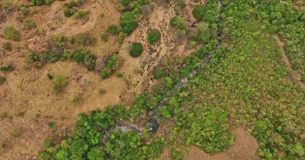 Caldera Panama Havacılık Dikey Kuş Bakışı Üstgeçit Jaguatta Şelalesi Eğildiğinde — Stok video