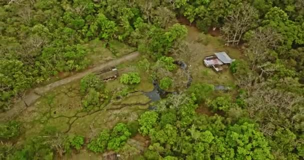Caldera Panama Aerial Cinematic Bird Eye Drone 회전하는 Paja Sombrero — 비디오