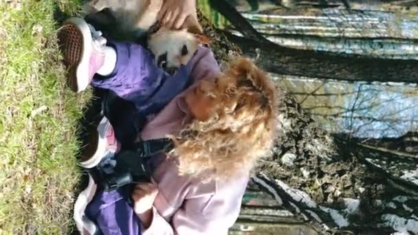 Tiro Vertical Una Mujer Sentada Aire Libre Acariciando Perro Galés — Vídeo de stock