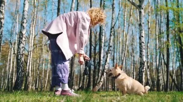 Σγουρά Ξανθά Μαλλιά Κορίτσι Διατάζει Pembroke Welsh Corgi Κατοικίδιο Ζώο — Αρχείο Βίντεο