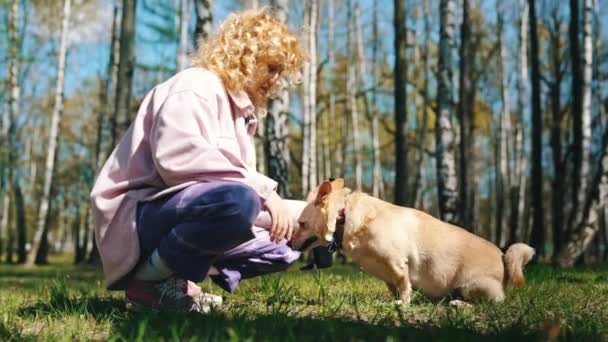 Femeie Blondă Câinele Galez Corgi Pembroke Parc Timpul Verii Medium — Videoclip de stoc