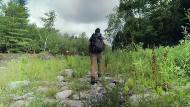 Escursionista Maschio Solitario Che Cammina Attraverso Paesaggio Roccioso Ricoperto Vegetazione — Video Stock