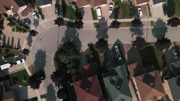 Top Aerial Drone Footage Colorful Suburban Homes Backyards Ontario Canada — Stock Video
