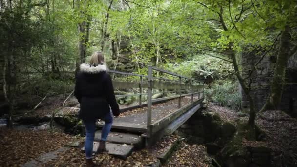 Lone Woman Crossing Old Bridge Kennall Vale Nature Reserve Ponsanooth — Video