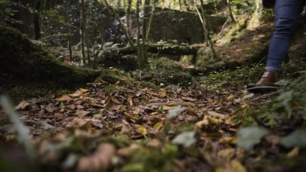 Person Walking Forest Ground Kennall Vale Nature Reserve Ponsanooth Inghilterra — Video Stock