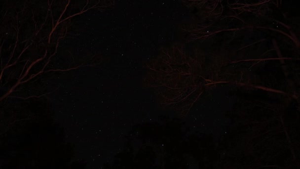 Sötét Fekete Éjszakai Égbolt Táborban Tűz Világít Fényes Csillagokkal Timelapse — Stock videók