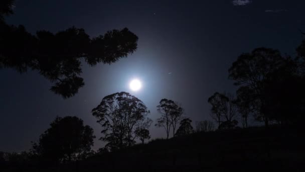 Timelapse Full Moon Wschodzący Ciemnym Niebie Chmurami Gwiazdami — Wideo stockowe
