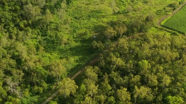 オーストラリアのダートロードを車で運転して緑の木々の森のスクラブ上の空中4Kドローン — ストック動画