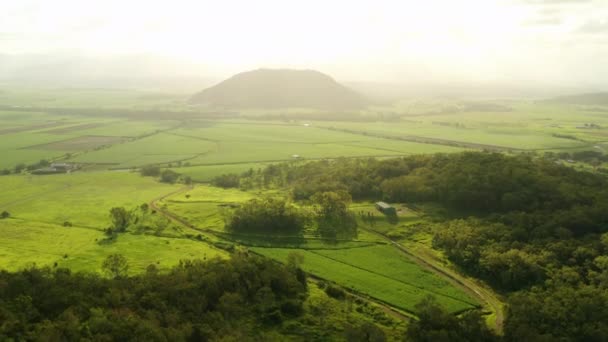 Grüne Farm Land Mit Nebel Und Berg Bei Sonnenuntergang Drohne — Stockvideo
