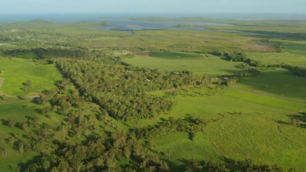 Luftaufnahme Der Ländlichen Grünen Landschaft Und Des Küstenhorizonts Australien Drohne — Stockvideo