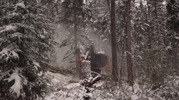 Tight Close Shot Industrial Wood Manipulator Saw Machine Takes Snow — Vídeos de Stock