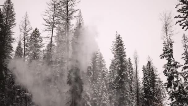 産業用木材マニピュレータを見たマシンは 吹雪の中で雪に覆われた木を取ります 劇的な 大規模なシリーズの一部 — ストック動画