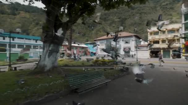 Летающие Голуби Городской Площади Баос Агуа Санта Эквадоре Трекинг Шот — стоковое видео