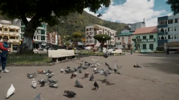 Pombos Rua Praça Principal Baos Água Cidade Santa Equador América — Vídeo de Stock