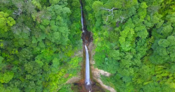 Vista Aérea Estática Cascada Alta Selva Del Bosque Sao Miguel — Vídeos de Stock