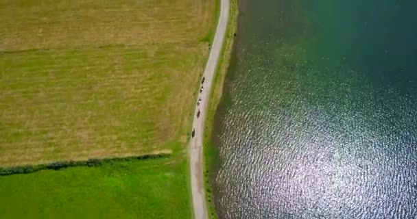 天气晴朗的日子 五个骑马的人沿着湖边的小径骑着马 这是史诗般的空中俯瞰 — 图库视频影像