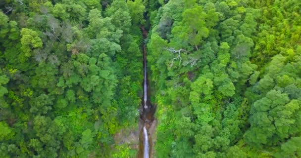 Lotnicza Lalka Odkrywa Podwójny Wodospad Ribera Quente Dżungli Wyspy Sao — Wideo stockowe