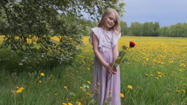 Όμορφο Ξανθό Κοριτσάκι Ένα Τριαντάφυλλο Στο Χέρι Είναι Ένα Ανθισμένο — Αρχείο Βίντεο