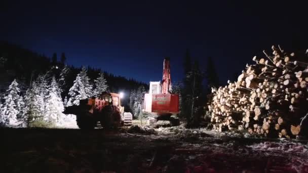 夜間工業用木材伐採機械が動き回る — ストック動画