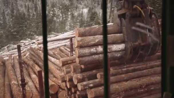 最初の人Povブルーカラー貿易業者は ジョイスティックでキャビン内から産業用木材ロギングマニピュレータアーム爪トラクターを運営しています 伐採された巨木を杭で打ち — ストック動画