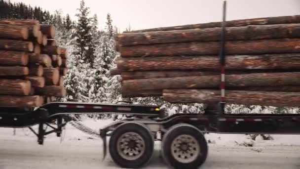 Przyczepa Wózkiem Załadowana Ciętymi Sosnowymi Kłodami Operacji Wycinania Drewna Przejeżdża — Wideo stockowe