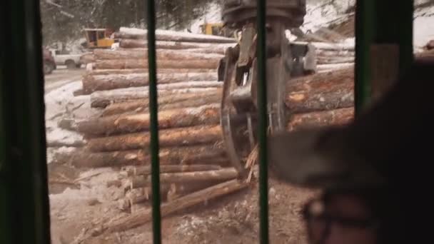 最初の人Povブルーカラー貿易業者は ジョイスティックでキャビン内から産業用木材ロギングマニピュレータアーム爪トラクターを運営しています 切断されている巨大な木を杭 — ストック動画