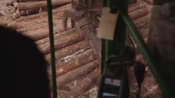 First Person Pov Blue Collar Tradesman Operates Industrial Timber Logging — Stock Video