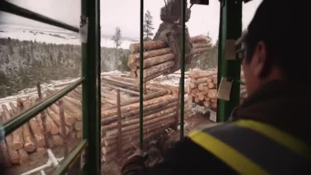 最初の人Povブルーカラー貿易業者は ジョイスティックでキャビン内から産業用木材ロギングマニピュレータアーム爪トラクターを運営しています 伐採された巨木を杭で打ち — ストック動画