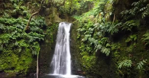 Drone Volando Hacia Una Pequeña Cascada Medio Exuberante Húmeda Selva — Vídeos de Stock