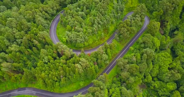 Letecký Pohled Auto Jedoucí Osamělé Klikaté Cestě Subtropickým Lesem — Stock video