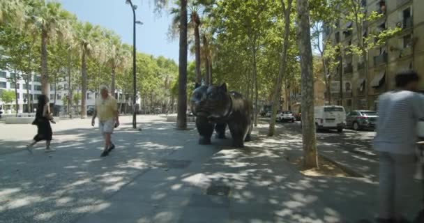Gato Bolero Bairro Raval Barcelona Pessoas Que Passam — Vídeo de Stock