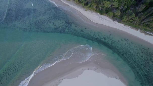 ニューサウスウェールズ州ツイード シャイアのヘイスティングス ポイント ビーチ近くのクッジラ クリークで発生する波 — ストック動画
