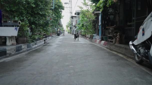 タイのバンコクにある都会の住宅地のきれいな通り 定常撮影 — ストック動画