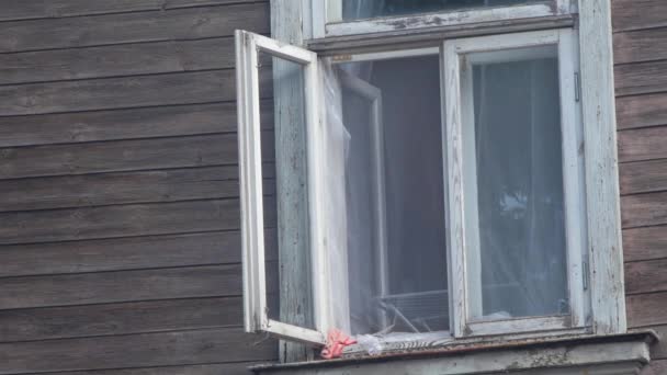 Offenes Fenster Eines Alten Holzhauses Einem Sonnigen Tag Weiß Gestrichener — Stockvideo