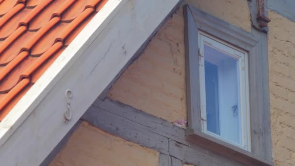 Okno Starego Pomalowanego Żółto Drewnianego Domu Słoneczny Dzień Malowana Biało — Wideo stockowe