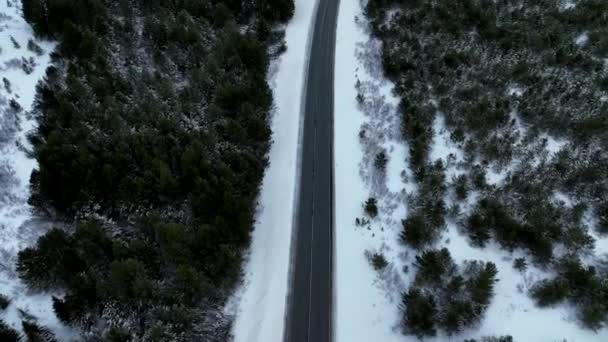 Monochromatické Nekonečné Silnice Zasněženém Lese Jižním Islandu Naklonění Antény — Stock video