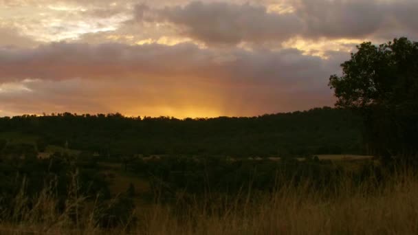 Timelapse Narancssárga Felhős Naplemente Felett Zöld Fák Ausztráliában — Stock videók