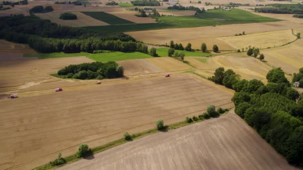 Grupo Tractores Conducen Través Tierras Cultivo Cosecha Agricultura Aéreo Drone — Vídeos de Stock