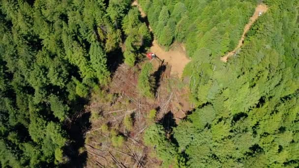 Clearcut Redwood Trees Reveal Machinery Drone Aerial — Stock Video